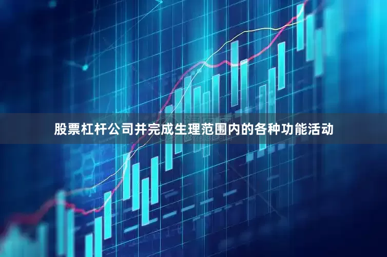 股票杠杆公司并完成生理范围内的各种功能活动
