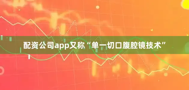配资公司app又称“单一切口腹腔镜技术”