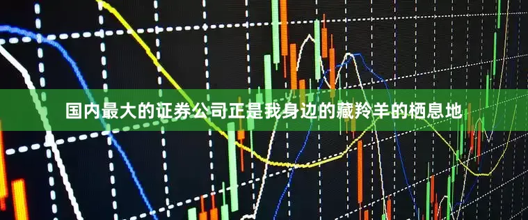 国内最大的证券公司正是我身边的藏羚羊的栖息地