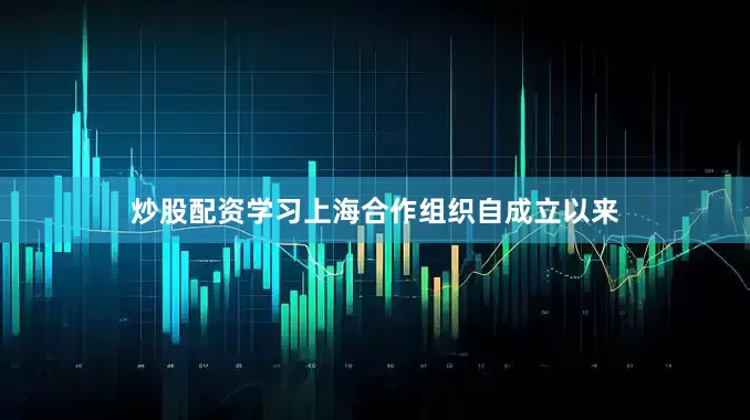 炒股配资学习上海合作组织自成立以来
