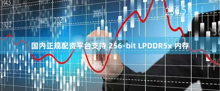 国内正规配资平台支持 256-bit LPDDR5x 内存
