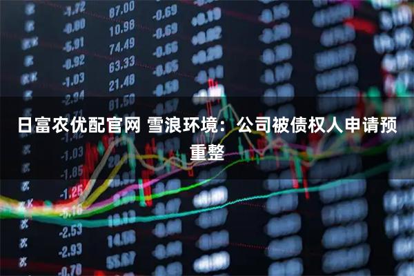 日富农优配官网 雪浪环境：公司被债权人申请预重整